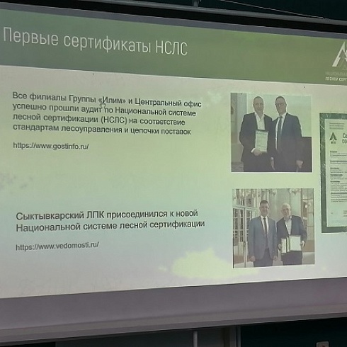 В ТПП Коми проходит межрегиональный семинар "«Национальная система лесной сертификации для устойчивого лесопользования России»"