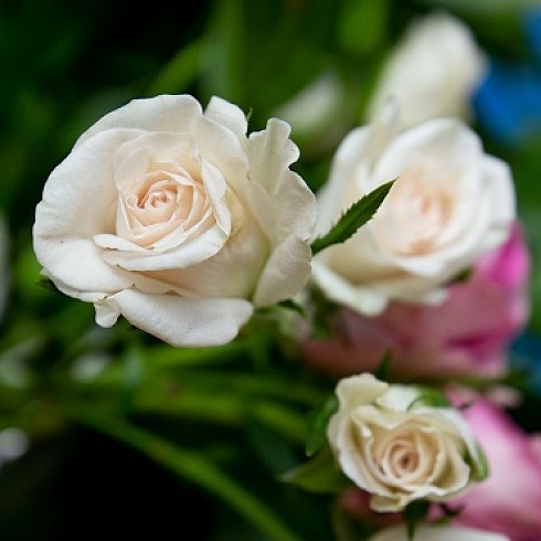 На площадке ТПП Коми флористам Сыктывкара и Ухты представили тренды свадебных букетов 