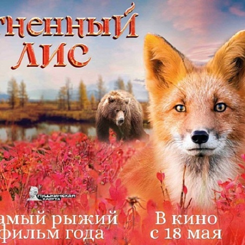 Сыктывкарцев приглашают на приключения «Огненного лиса»