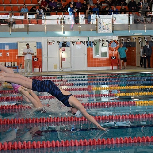 Юрий Колмаков принял участие в награждении победителей и призеров чемпионата и первенства Республики Коми по плаванию