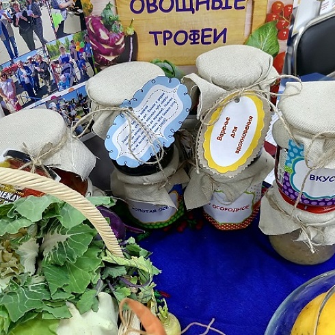 ТПП Коми на один день объединила «серебряных» волонтеров со всей республики